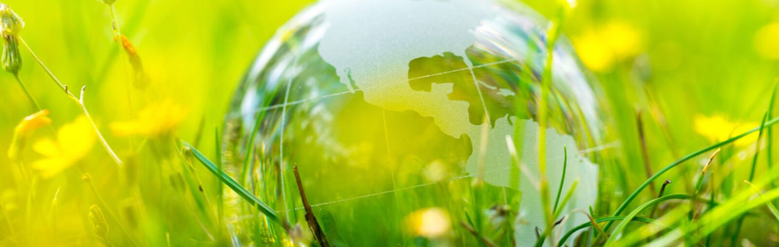 Ecosystem-2026-squares